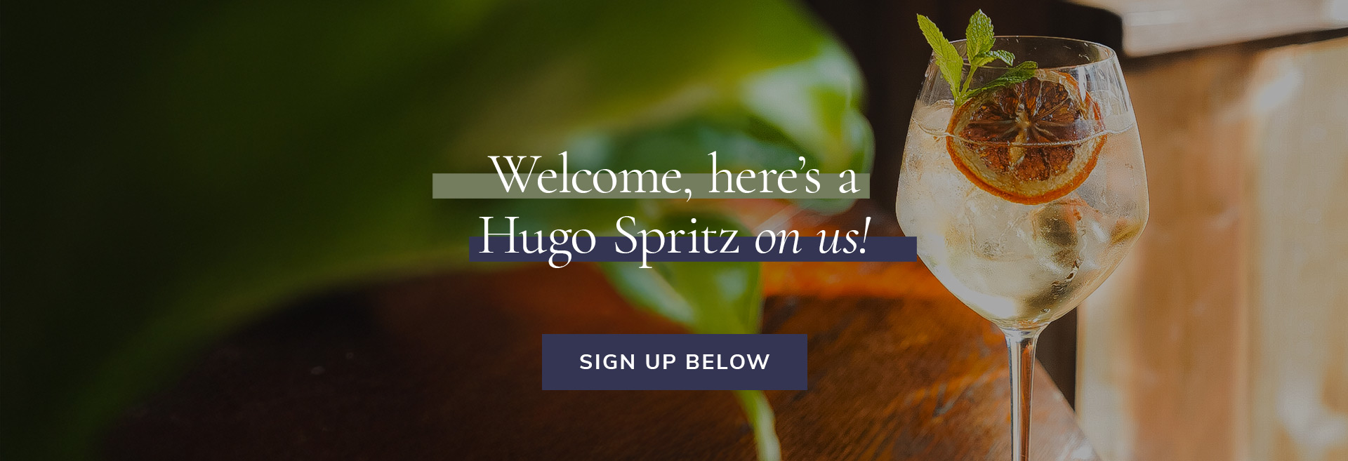 Sign up to the newsletter at The Spaniards Inn